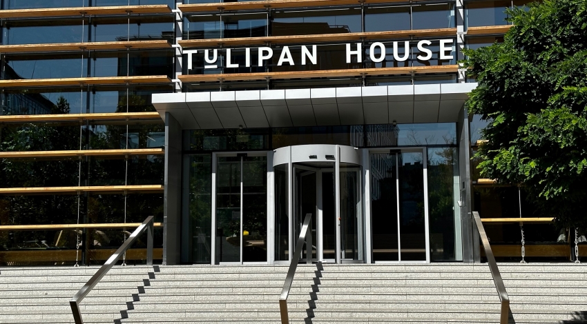 Tulipan House